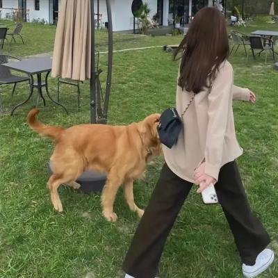 截然不同的特拉维夫
